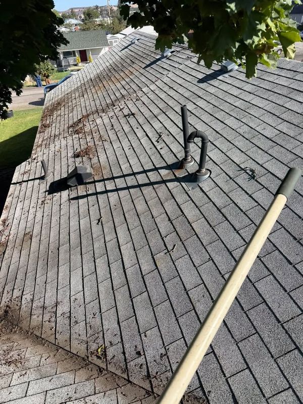 Roof Cleaning