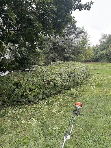 Tree and Shrub Care