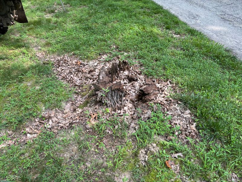 Stump Removal
