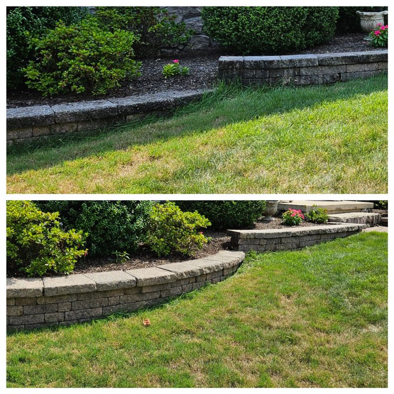 Concrete Cleaning