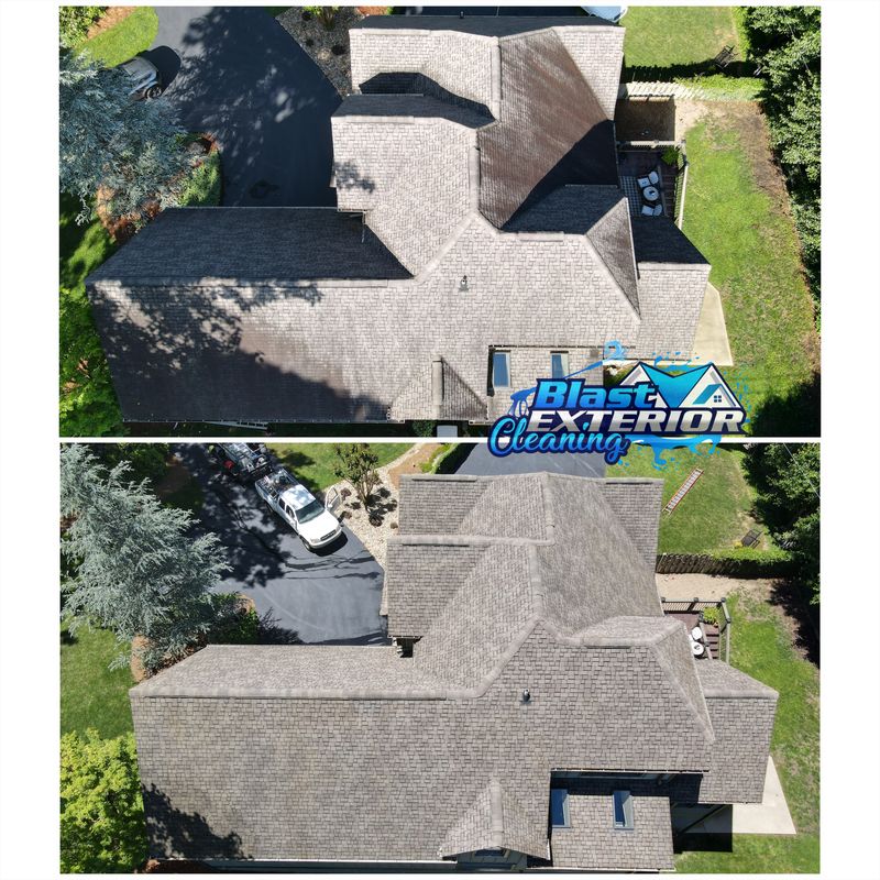 Roof Washing