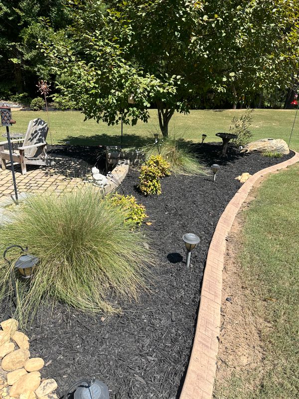 Shrub/Bush Trimming
