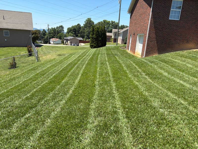 Lawn Maintenance