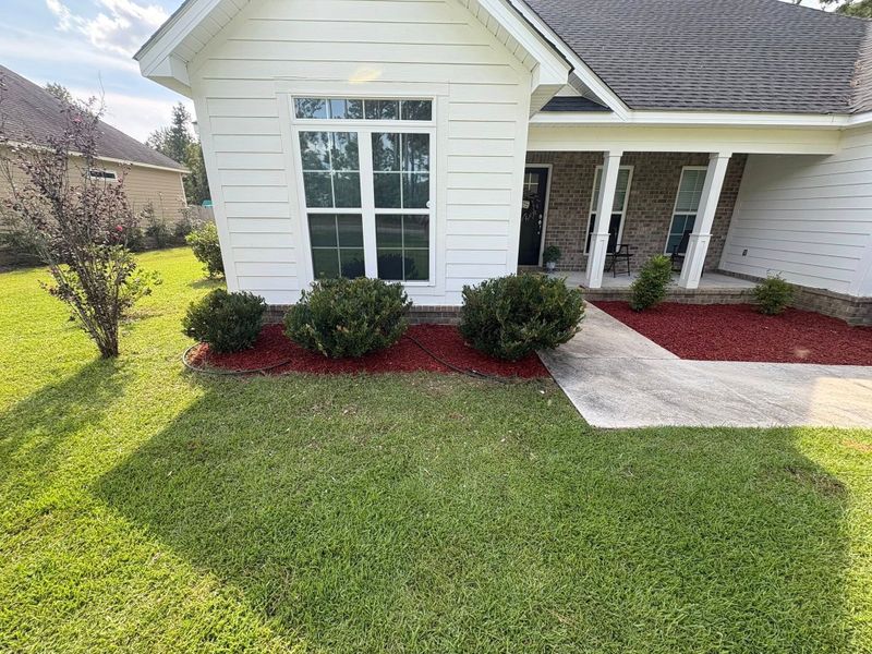 Tree & Shrub Care