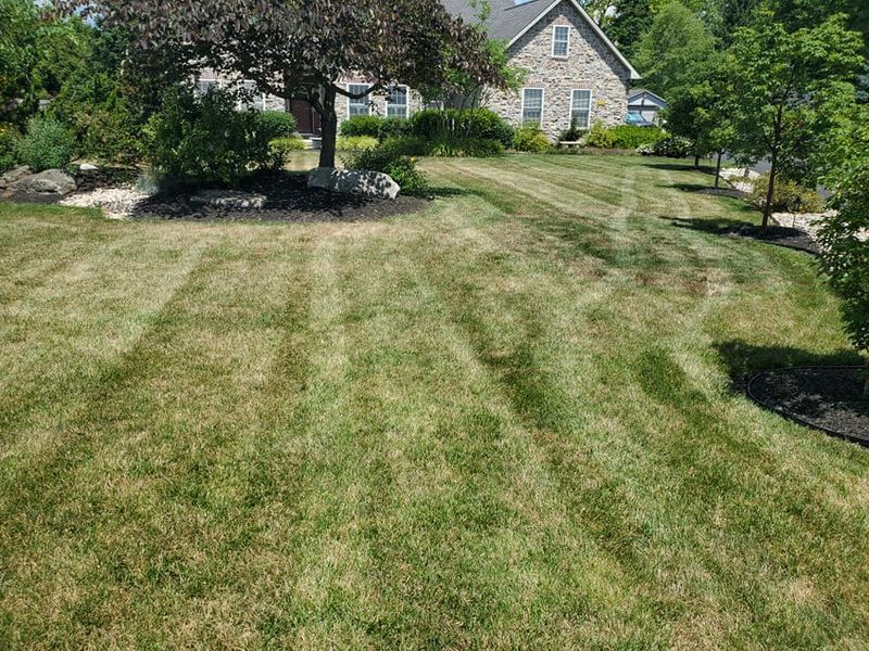 Lawn Care