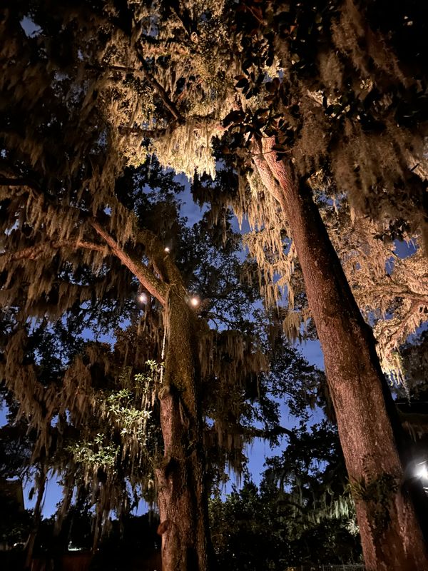 Landscape Lighting 