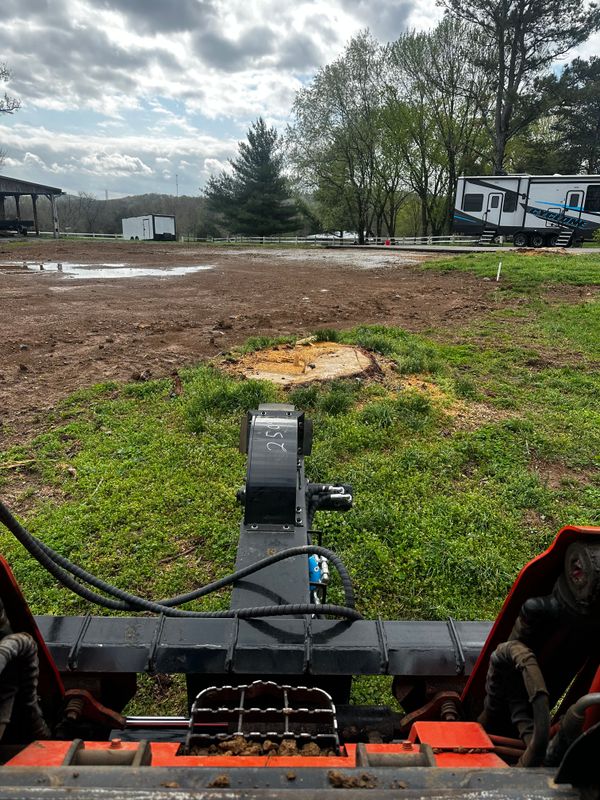 Tree Trimming & Removal