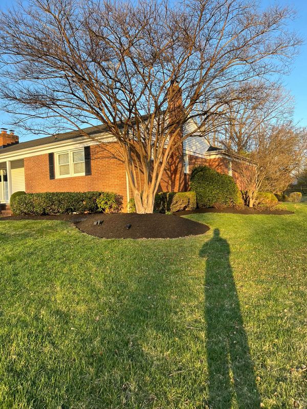 Lawn Maintenance