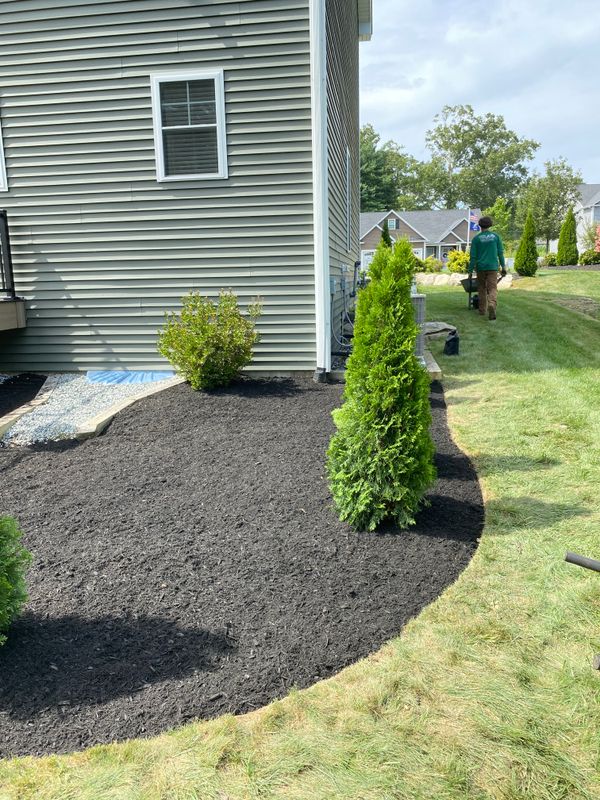 Shrub Trimming