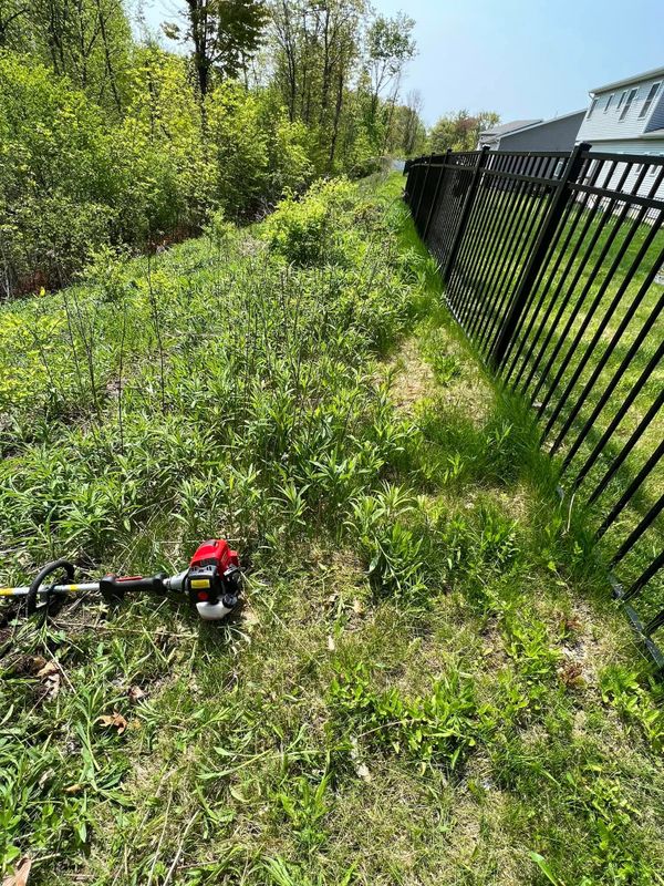 Landscaping
