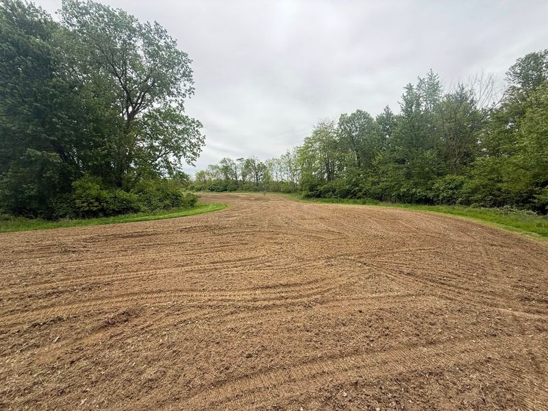Land Clearing