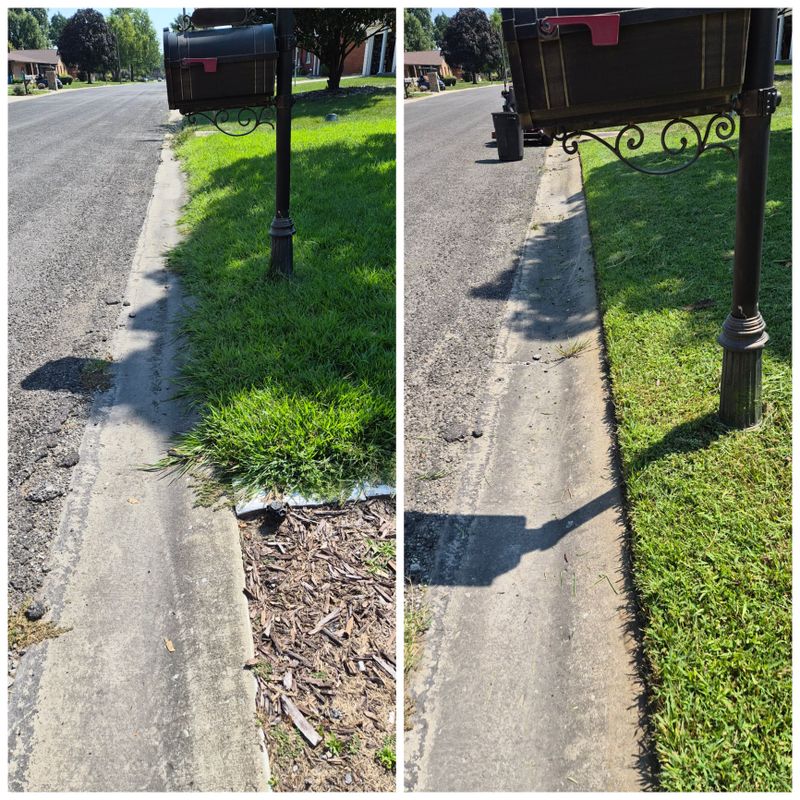 Lawn Maintenance