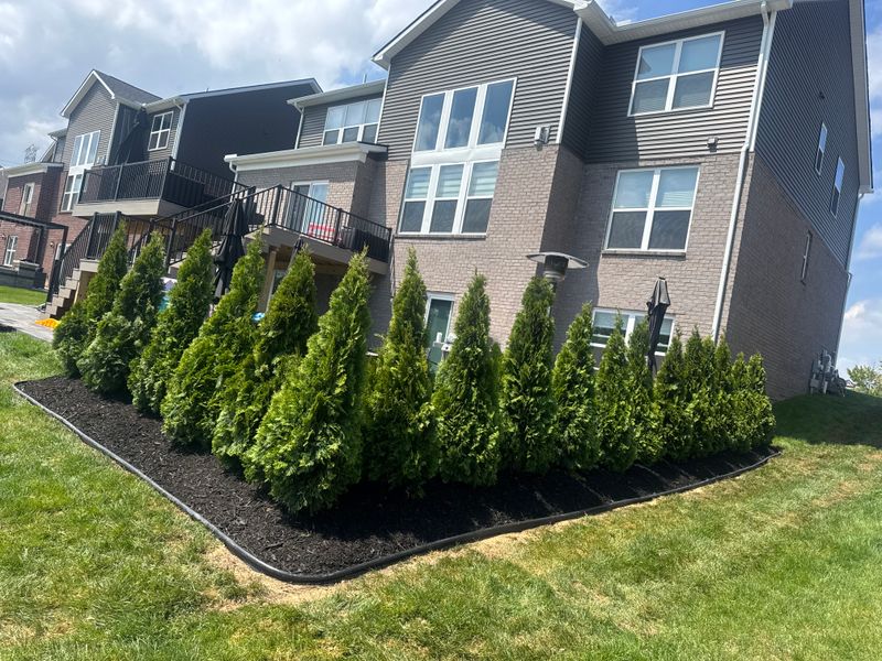 Mulch Installation