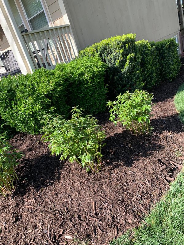 Landscape Maintenance