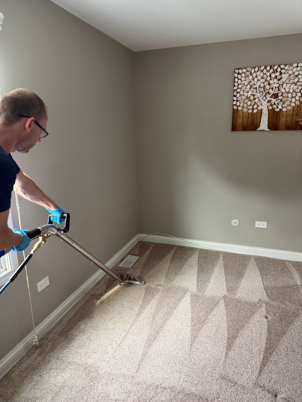 Carpet Cleaning