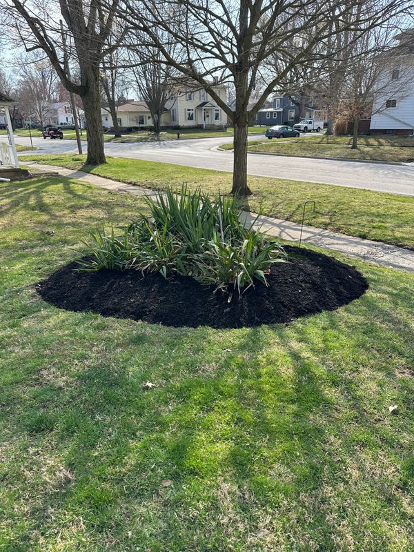 Landscaping