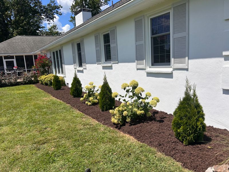 Shrub and Plant Trimming