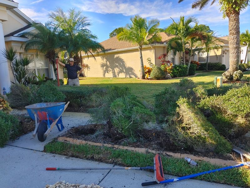 Hardscape Cleaning