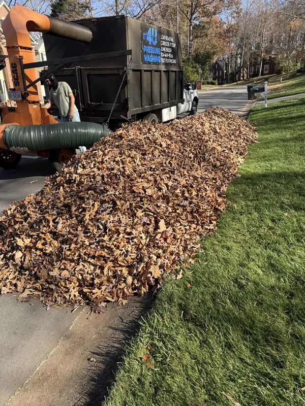 Street Side Leaf Pickup