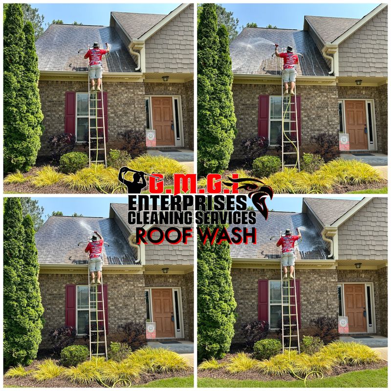 ROOF WASH gallery