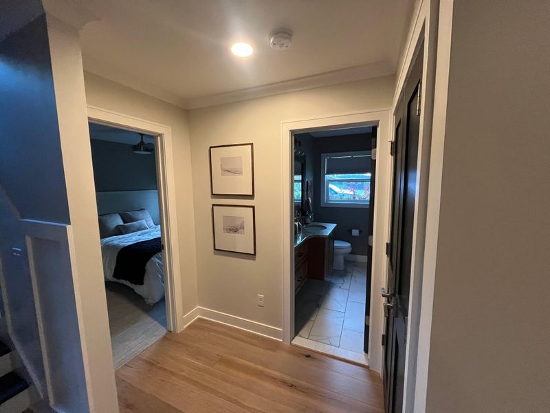 Interior Painting