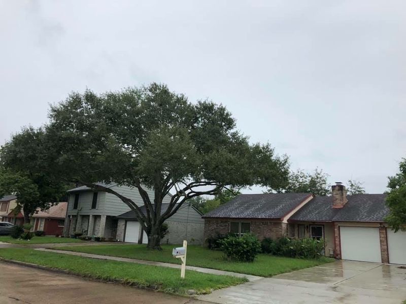 Tree Trimming and Removal