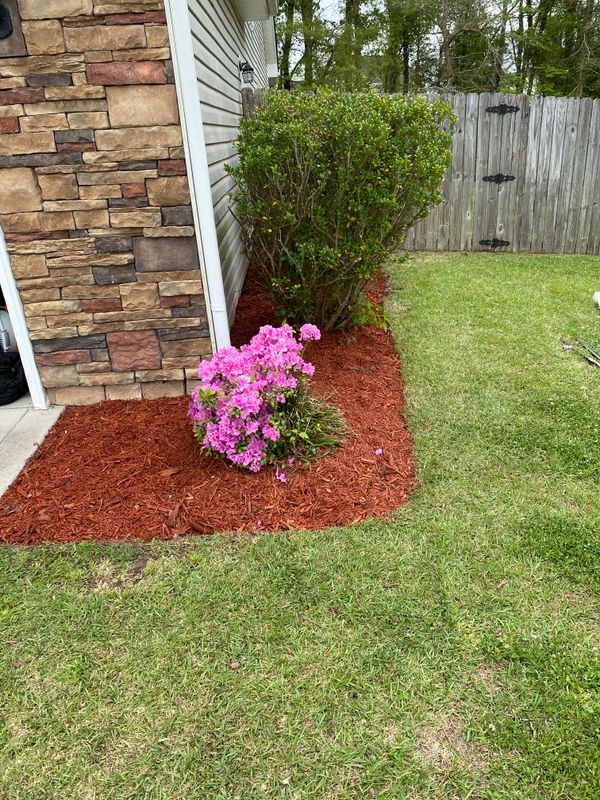 Landscaping