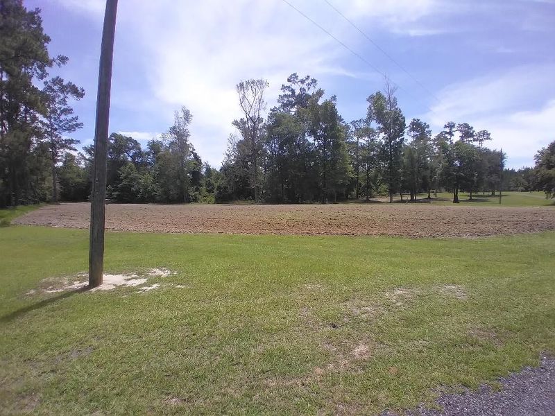 Tractor Service's ! Grapple work ; minor land clearing tree service ; chainsaw work ; gardens / food plots discing ETC
