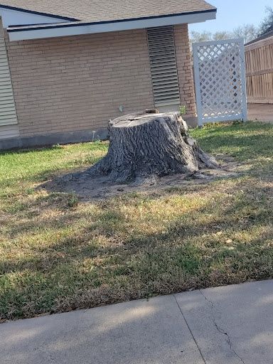 Stump Removal