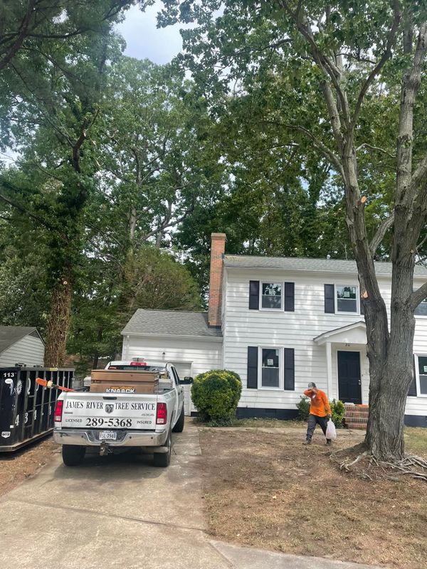 Tree Trimming