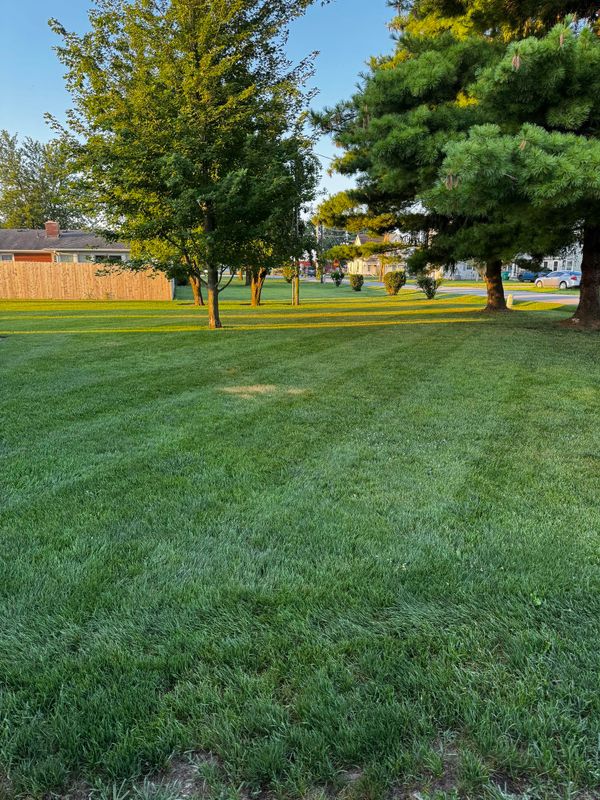 Landscaping Design
