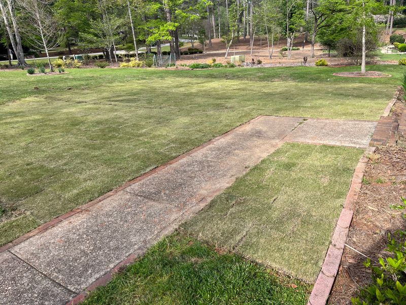 Sod & Irrigation