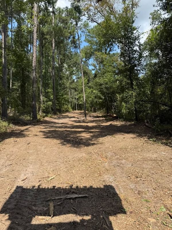 Land Clearing
