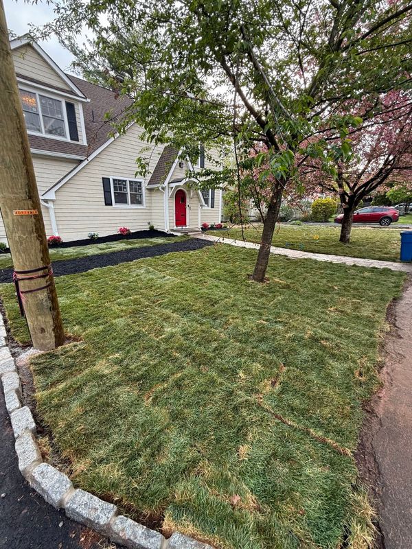 Landscaping
