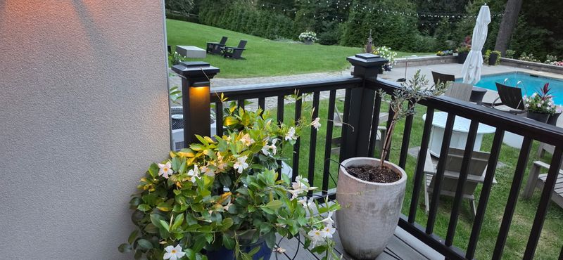 Landscape Lighting