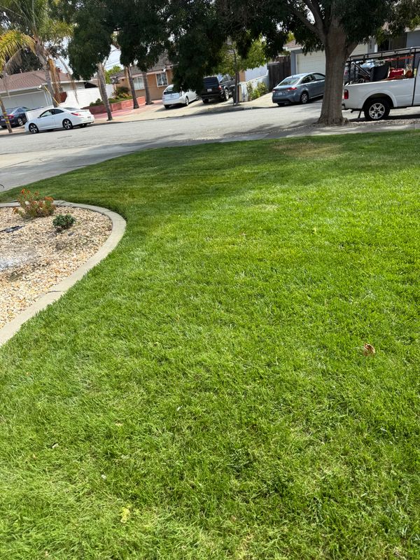Landscaping
