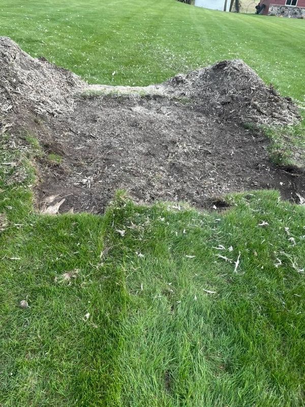 Stump Removal