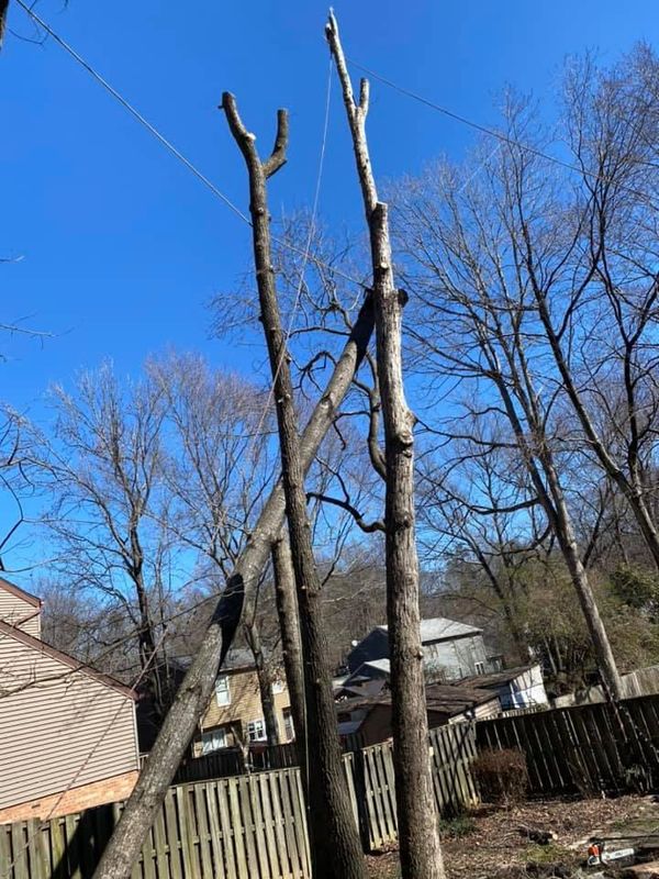 24/7 Storm damage