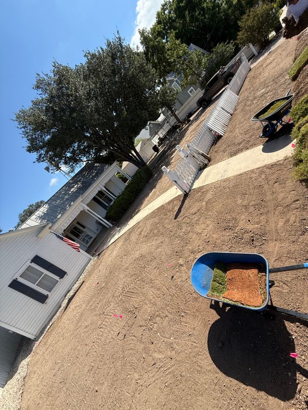 Lawn Aeration