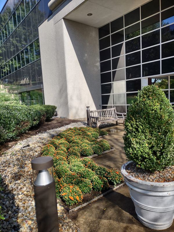 Privacy Plantings