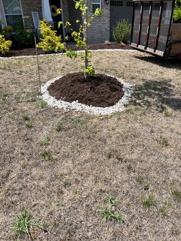 Mulching