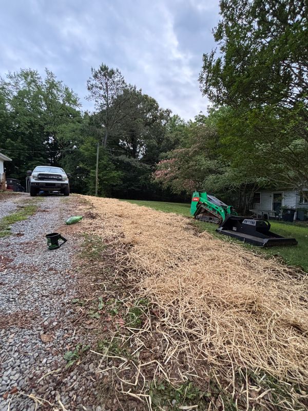Lawn Maintenance