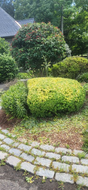 Garden Maintenance