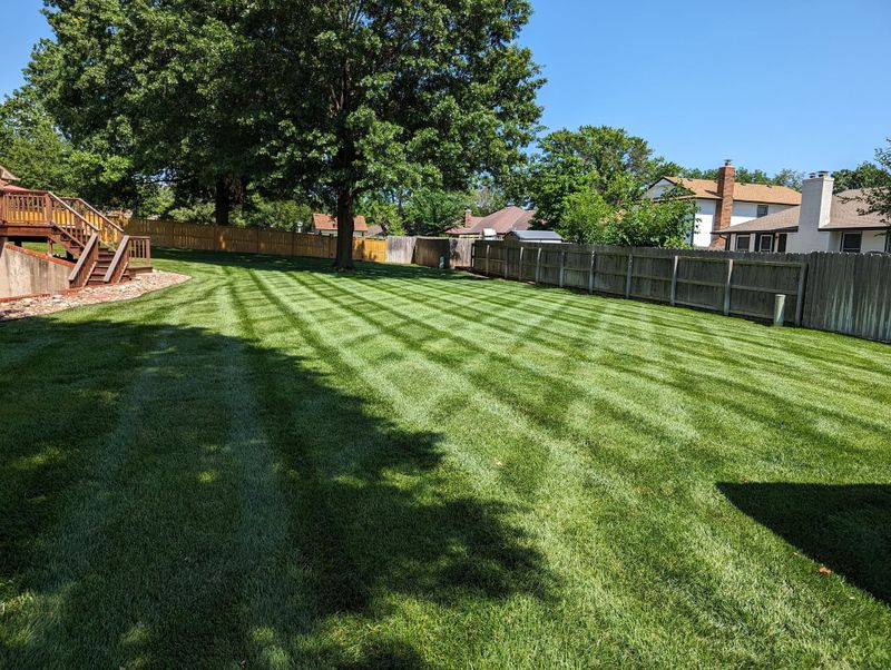 Lawn Care