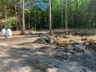 Land Clearing