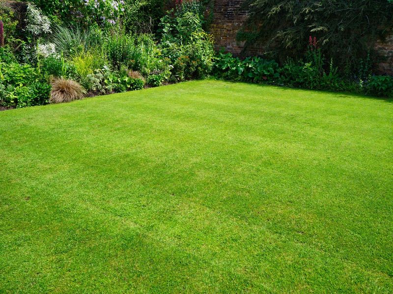 Lawn Mowing and Maintenance