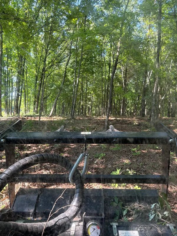Trail Clearing
