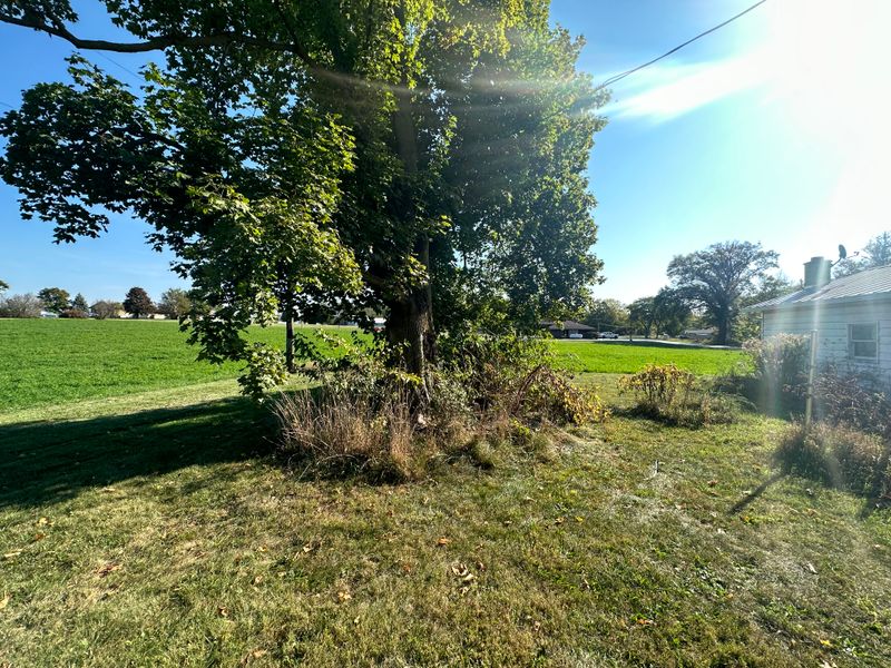 Fall and Spring Clean Up
