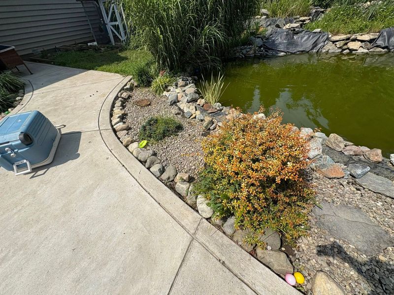 Landscape Design