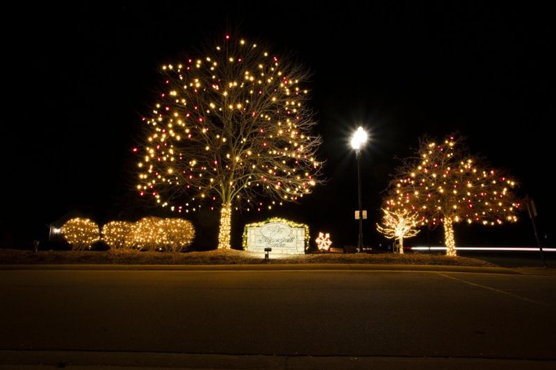 Christmas Light Installation
